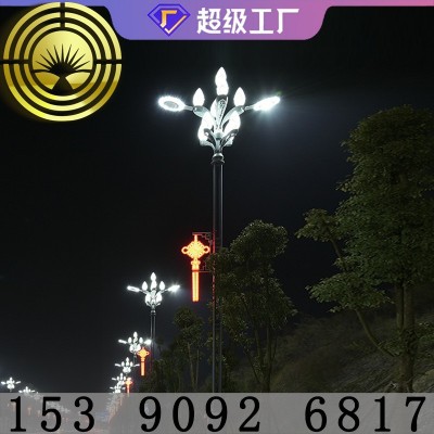 路易恒升道路照明灯 led玉兰灯 8米10米道路户外市政工程中华灯图2
