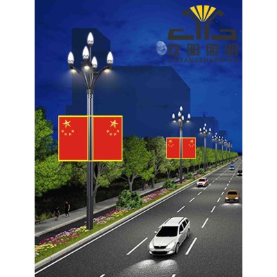 厂家批发户外路灯国旗灯箱led灯箱发光双面国庆节景观灯国旗灯箱图2