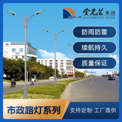 路灯杆LED6/7/8/10/12米高亮LED市政小区公园中高杆道路市电路灯