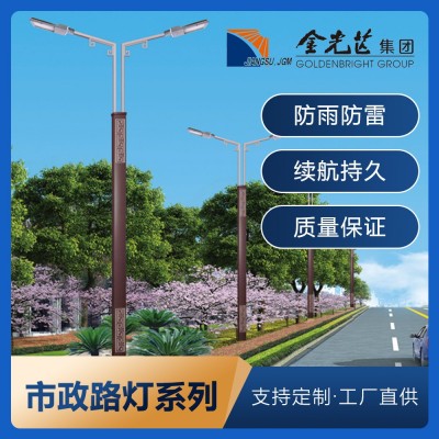 路灯杆LED6/7/8/10/12米高亮LED市政小区公园中高杆道路市电路灯图4