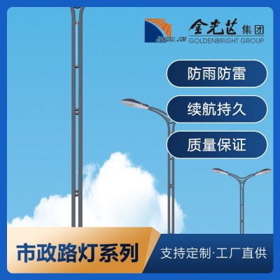 路灯杆LED6/7/8/10/12米高亮LED市政小区公园中高杆道路市电路灯图2