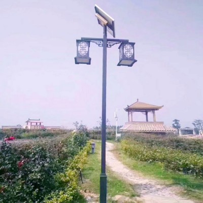 太阳能庭院灯 6米小区花园景观灯 LED超亮户外照明图2