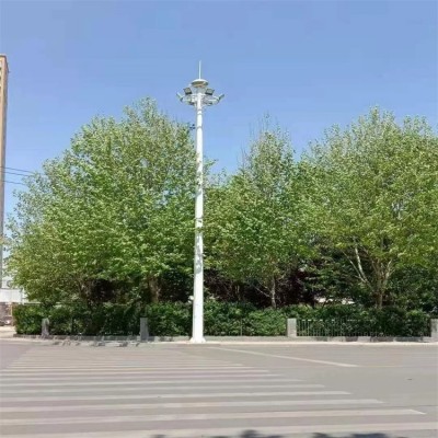 LED路灯 新农村专用 城市道路 led太阳能路 灯 安装定制 利祥灯具图3