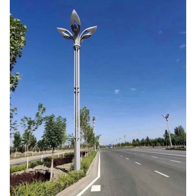 户外健身广场球场高杆灯批发 学校操场照明灯 7米镀锌管灯杆图2