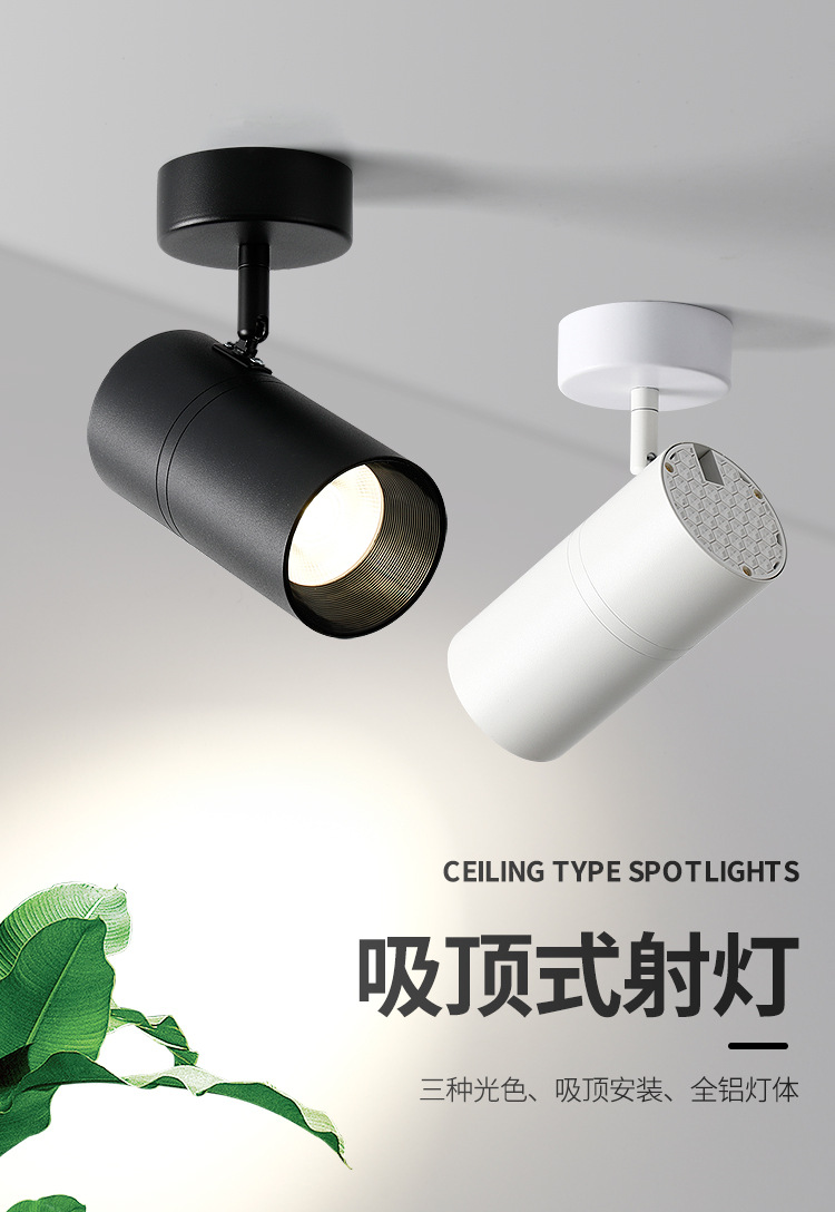 详情_01.jpg