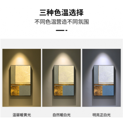 仿飞LED轨道灯利浦COB聚光射灯导轨灯服装店婚纱店二线三线10W20W图4