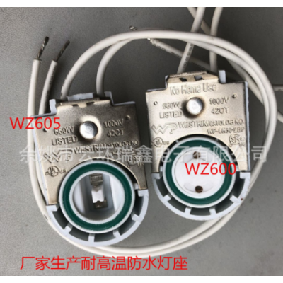 防水灯座厂家供防水杀菌灯座防尘防水灯头 WZ300型系列 RUIXIN图4