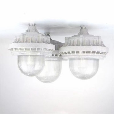 华荣LED泛光灯\FZY927\AC220V\70W 电厂固定式灯具100W 色温6000L图3