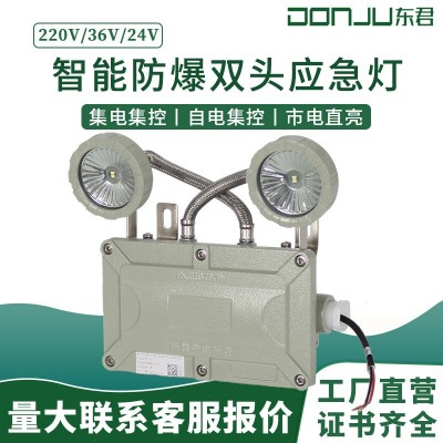 36V集中控制防爆应急双头灯紧急疏散指示照明东君低压LED220V/24V图3