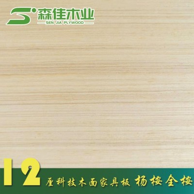 多层板胶合板可贴木皮做油漆基板科技木桃花芯5-25厘超平家具板图4