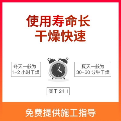 大桥油漆大桥氟碳面漆防锈防晒耐酸碱腐蚀耐高温颜色齐全可调色图4