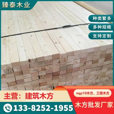 厂家批发建筑方木 建筑木方 mgp10出澳大利亚木方 出澳大利亚木方图2