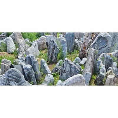 公园风景石花岗岩景区点缀石大理石院子装饰石五莲花风景石图4