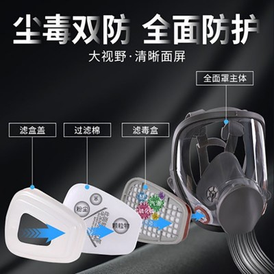 6800过滤式防尘防毒面具滤棉呼吸全面罩化工防甲醛款消防专用图3