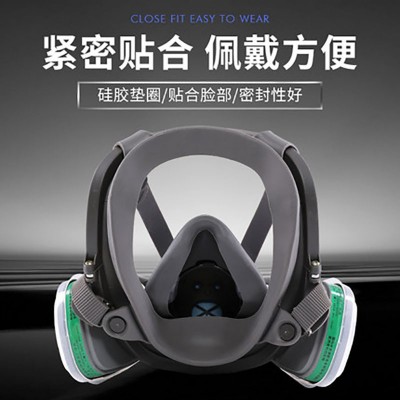 6800过滤式防尘防毒面具滤棉呼吸全面罩化工防甲醛款消防专用图2