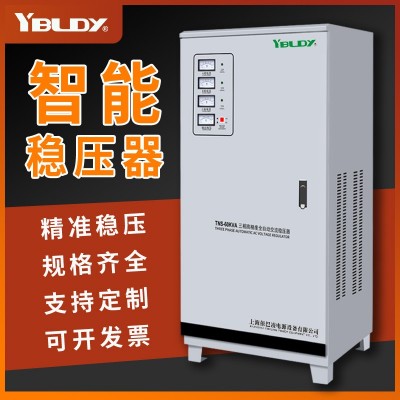 依巴凌三相380V稳压器TNS-50KVAKW/激光空压机医院工程稳压器图4
