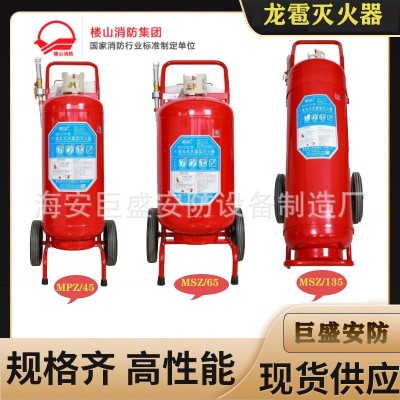 龙雹牌MFZ8kg灭火器楼山消防灭火器6kgMFZ/ABC5手提式干粉4KG批发  1只起售图4