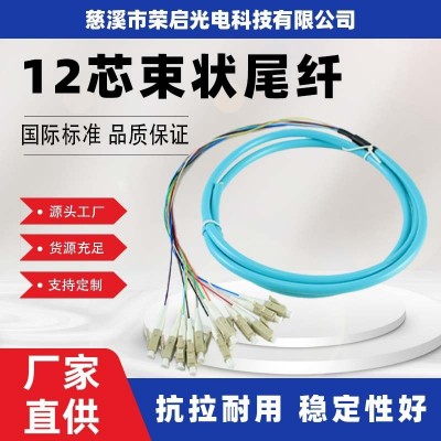 荣启光电直供国标电信级12芯束状尾纤 稳定性强适用于多种场地