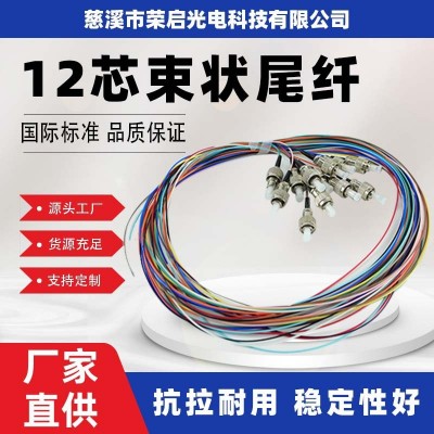 荣启光电厂家直供正品FC/UPC12芯束状尾纤圆头电信级彩色光纤跳线图2