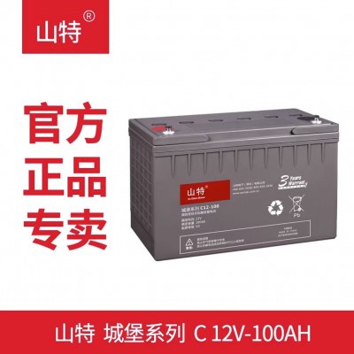山特蓄电池12V100AH C12-100铅酸免维护UPSEPS直流屏机房应急电源图2