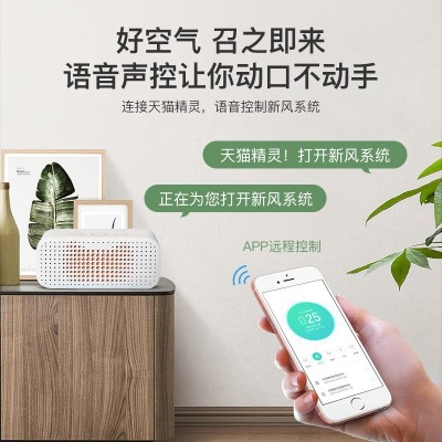 大栖地新风换气机家用吊顶式直流全热交换器中央新风系统招 商代理图5