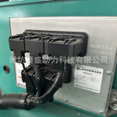 厂家定制直销 200kw燃气发电机组 养猪奶牛场天然气发电机组图4