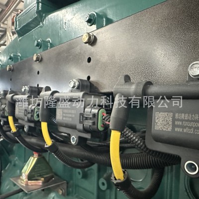厂家定制直销 200kw燃气发电机组 养猪奶牛场天然气发电机组图5