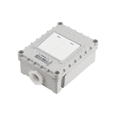 防爆墙壁开关防爆插座五孔220V10A明装86型单开工业照明开关插座图5
