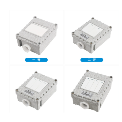 防爆墙壁开关防爆插座五孔220V10A明装86型单开工业照明开关插座图4