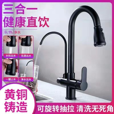全铜冷热混水带净水过滤器可旋转磁吸回位抽拉厨房菜盆水槽水龙a图2