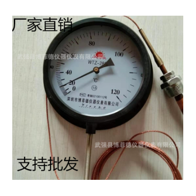 WTZ-WTQ280压力式温度计锅炉用指针温度计表工业用机械远传温度表图4