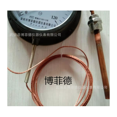 WTZ-WTQ280压力式温度计锅炉用指针温度计表工业用机械远传温度表图3