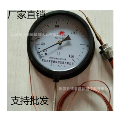 WTZ-WTQ280压力式温度计锅炉用指针温度计表工业用机械远传温度表图2