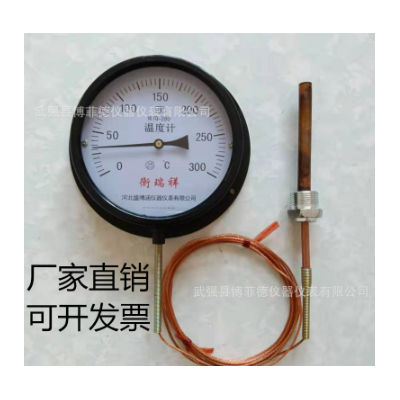 压力式温度计WTQ-280工业锅炉蒸汽测温仪鸡鸭鹅猪油温远传水温表图2