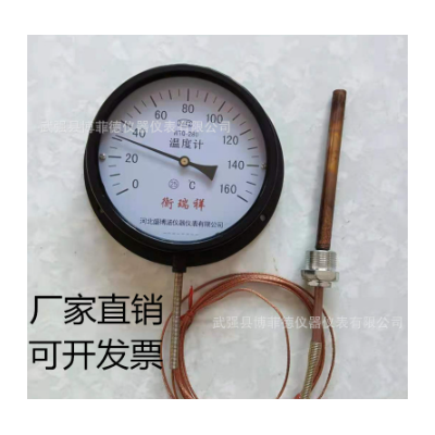压力式温度计WTQ-280工业锅炉蒸汽测温仪鸡鸭鹅猪油温远传水温表图4