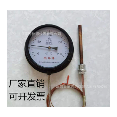 压力式温度计WTQ-280工业锅炉蒸汽测温仪鸡鸭鹅猪油温远传水温表图3