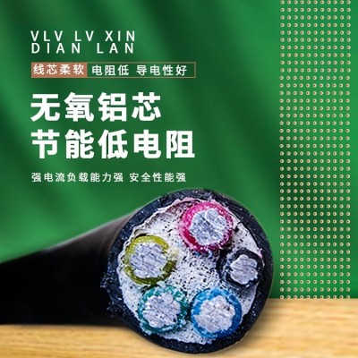 中策ZR-YJLV国标4×25+1×16平方铝芯电缆 阻燃电缆厂家批发图4