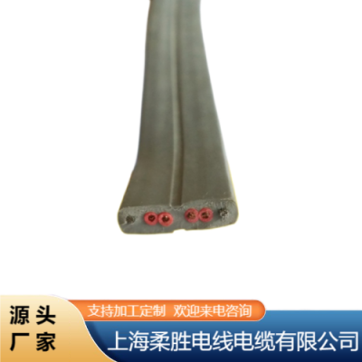 厂商直供 龙门吊扁电缆 款式多样 足米足量 - 柔胜电线电缆图2