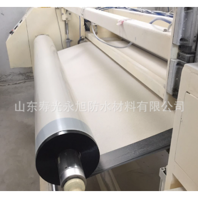 非沥青基高分子防水卷材 地下室底板预铺式防水卷材自粘防水卷材图3