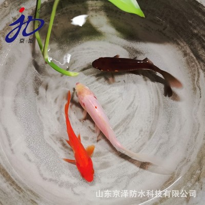 山东台头JS聚合物防水涂料 柔性JS复合防水涂料 JS防水涂料图3