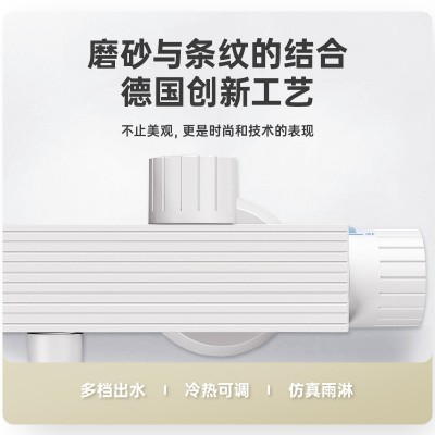 德国INH家用淋浴花洒套装家用全铜白色花洒增压喷头卫浴花洒图2