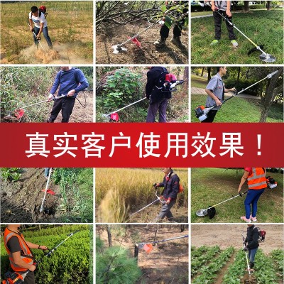 多功能背负式割草机四冲程家用小型打草割灌机果园开荒松土除草机图3