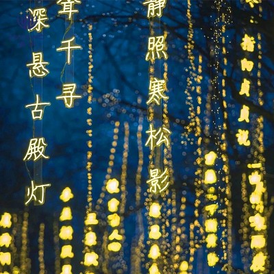 定制led古诗词条幅灯串户外防雨景区亮化装饰灯发光字挂树马尾灯图2