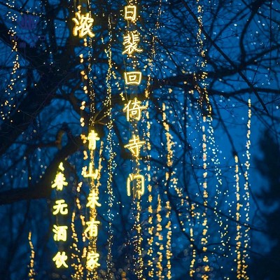 定制led古诗词条幅灯串户外防雨景区亮化装饰灯发光字挂树马尾灯图3