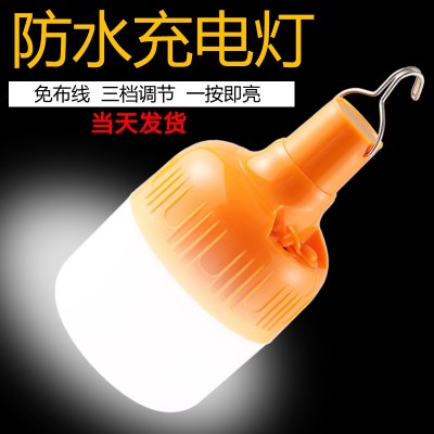 停电应急灯家用移动充电灯泡夜市摆摊地摊照明100W球泡低压灯泡图4