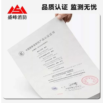 订做加工管网式气体灭火系统悬挂式七氟丙烷灭火器材消防设备定制 1套图2