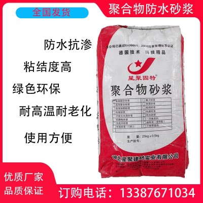 【源头工厂】工业与民用建筑 抗锈蚀 水泥基聚合物防水砂浆图2