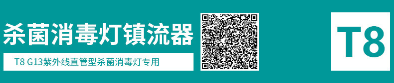T8杀菌灯220V详情_07.jpg