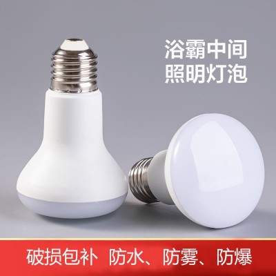 LED节能球泡灯跨境 大功率室内照明恒流驱动E27/E14蘑菇灯R球泡灯