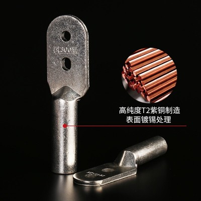 双孔铜接线端子凤凰 DTS酸洗镀锡端头连接器紫铜接线线耳铜鼻子图2
